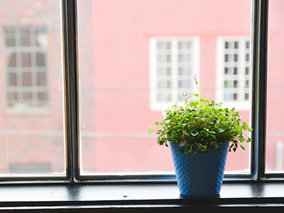 小七电话在线网页轰炸